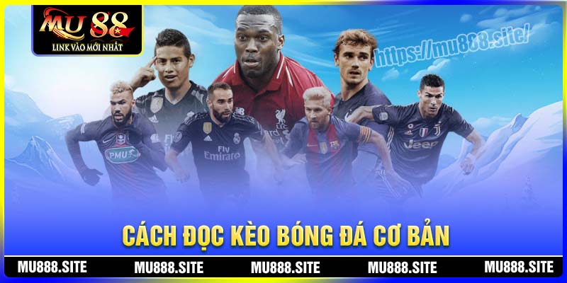 Cách đọc kèo bóng đá không khó để có thể tìm hiểu