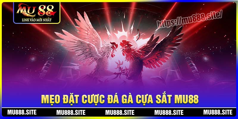 Mẹo cá cược Đá gà cựa sắt MU88 thắng lớn