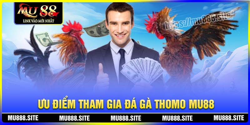 Ưu điểm tham gia cá cược Đá gà Thomo MU88